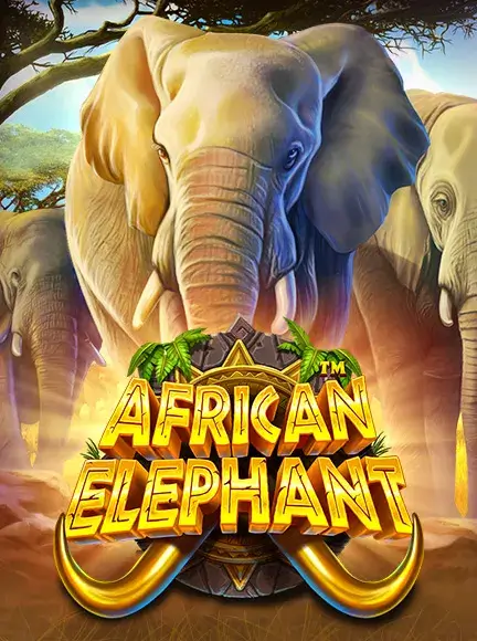 เกมสล็อต African Elephant ค่าย Pragmatic Play ทดลองเล่นสล็อตฟรี