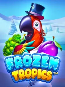เกมสล็อต frozen tropics ค่าย pragmatic play ทดลองเล่นสล็อตฟรี