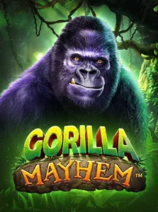 เกมสล็อต gorilla mayhem ค่าย pragmatic play ทดลองเล่นสล็อตฟรี