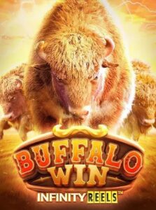เกมสล็อต buffalo win จากค่าย pg soft ทดลองเล่นสล็อตฟรี อัปเดตใหม่ล่าสุด